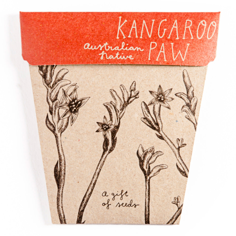 Gift Seeds - Kangaroo Paw