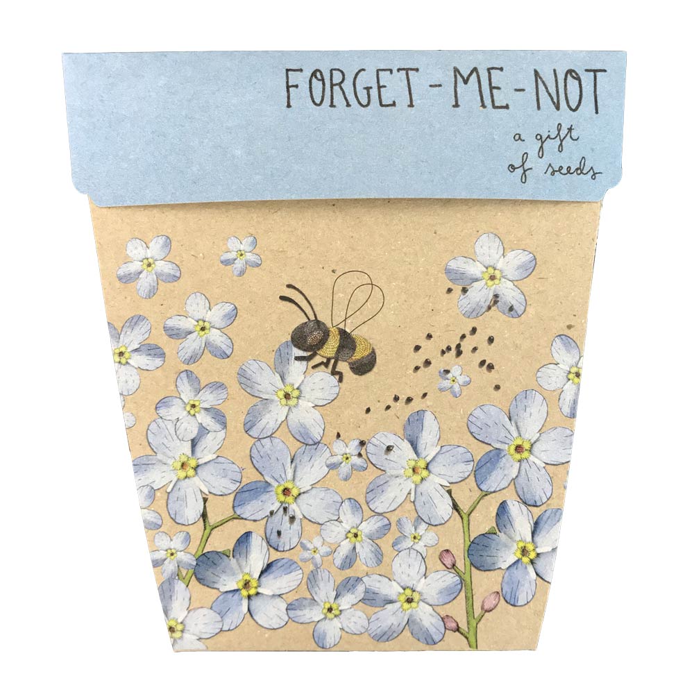 Gift Seeds - Forget Me Not
