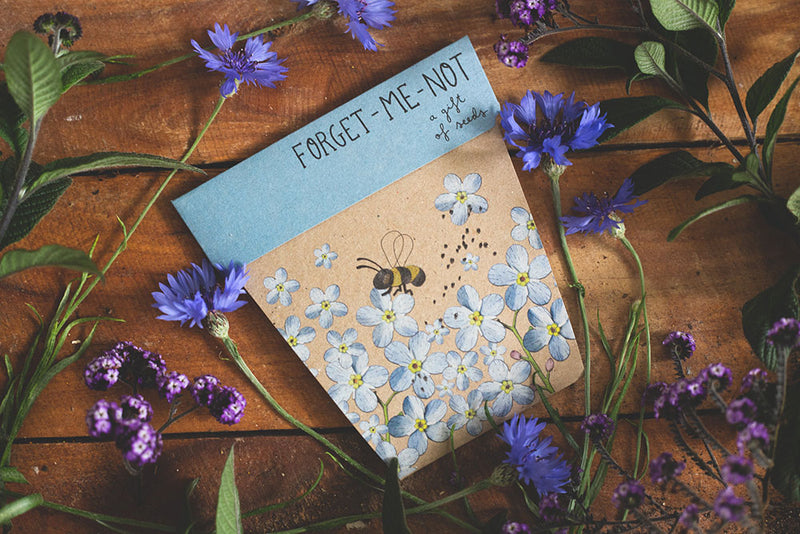 Gift Seeds - Forget Me Not