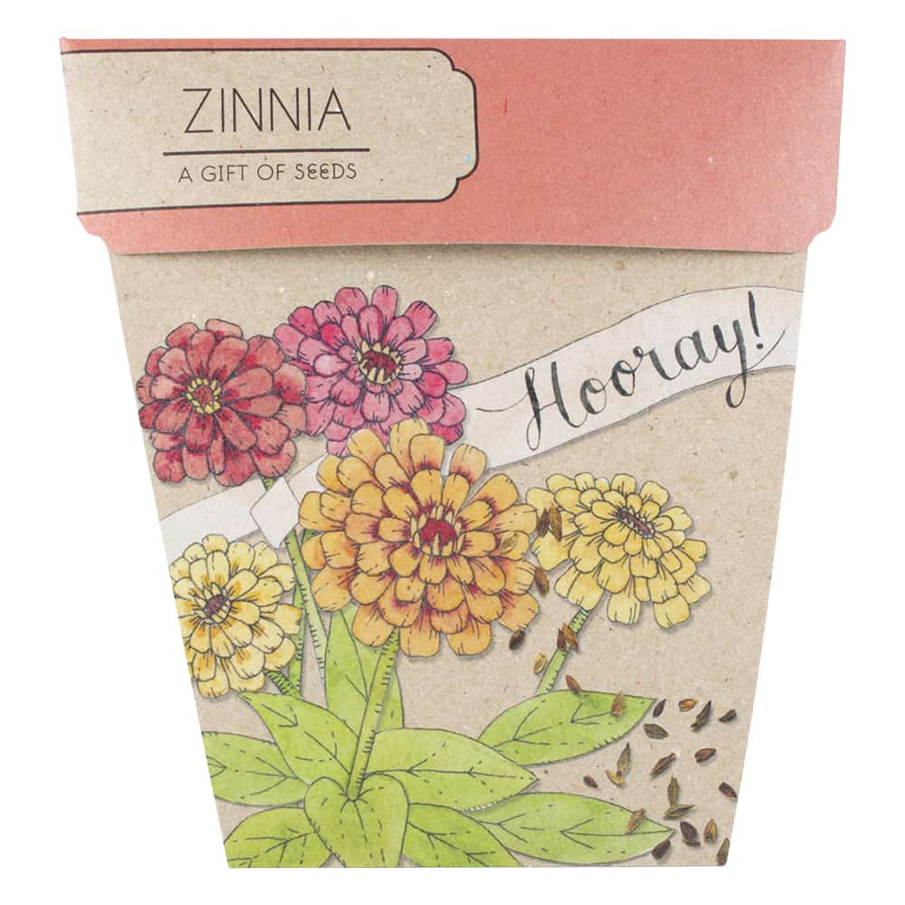 Gift Seeds - Hooray Zinnia