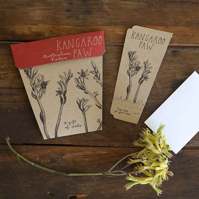 Gift Seeds - Kangaroo Paw