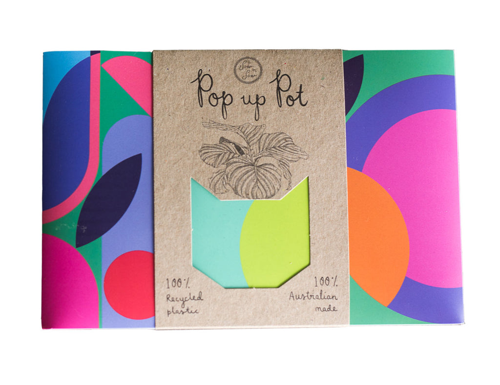 Pop Up Pot - Plant Party Design