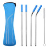 Stainless Steel Straw Set in Pouch (6 pieces)