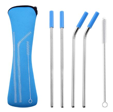 Stainless Steel Straw Set in Pouch (6 pieces)