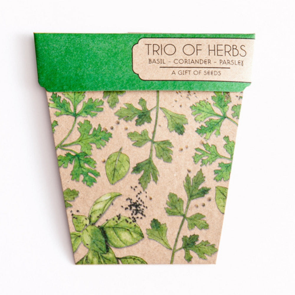 Gift Seeds - Trio of Herbs