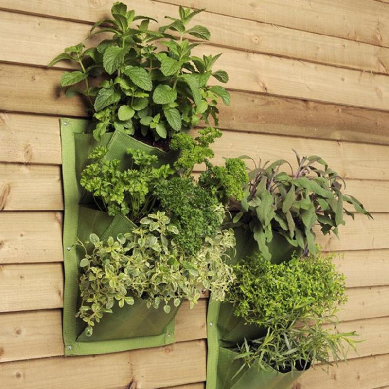 Wall Planter