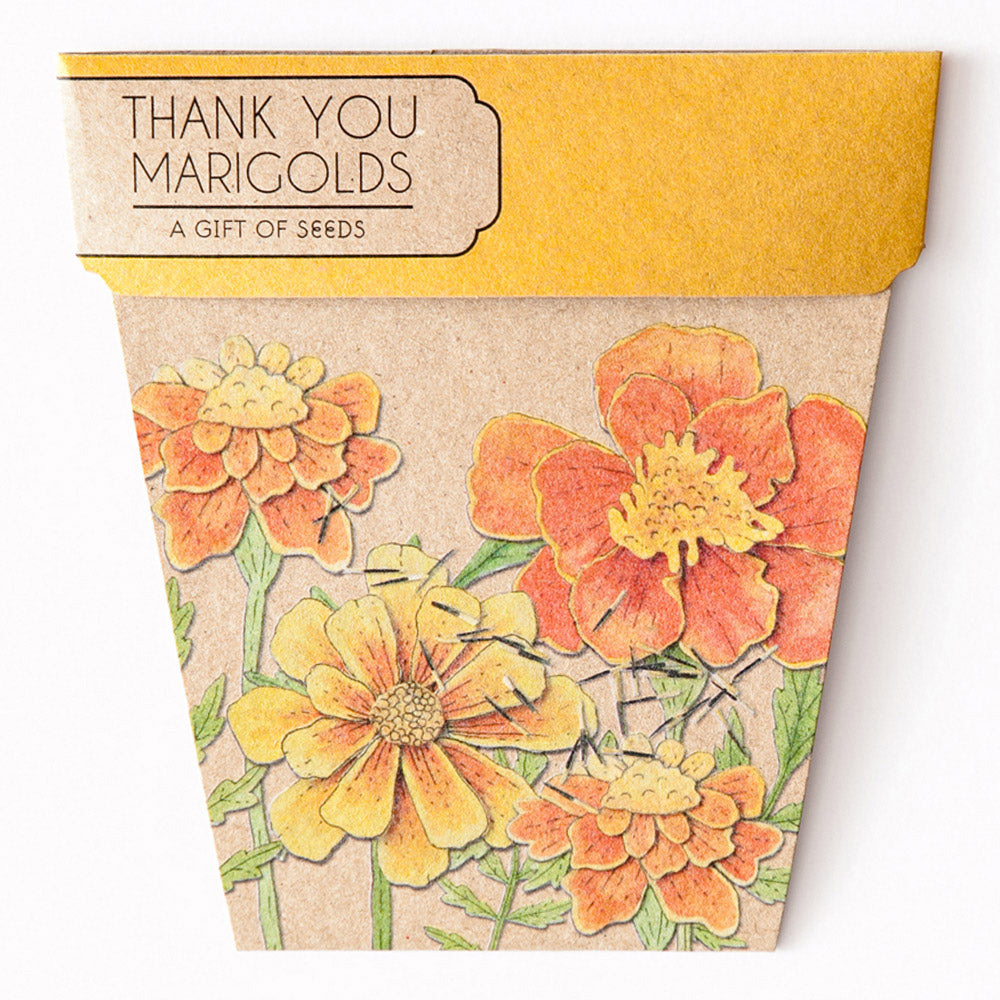Gift Seeds - Marigolds